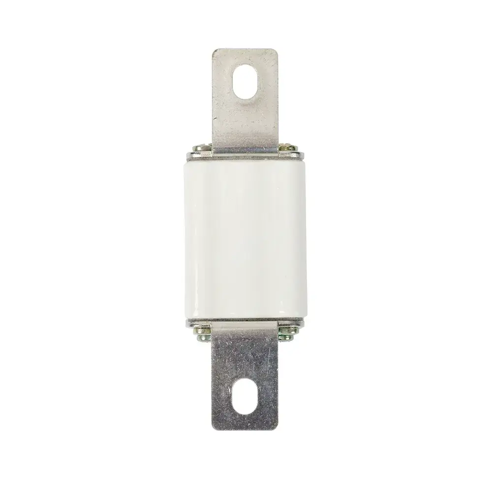 RS0 Ống bảo vệ cầu chì kín - Ảnh 3